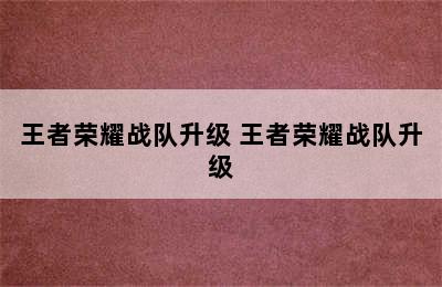 王者荣耀战队升级 王者荣耀战队升级